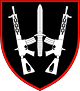 67th Separate Mechanized Brigade 
— Field Feedback
